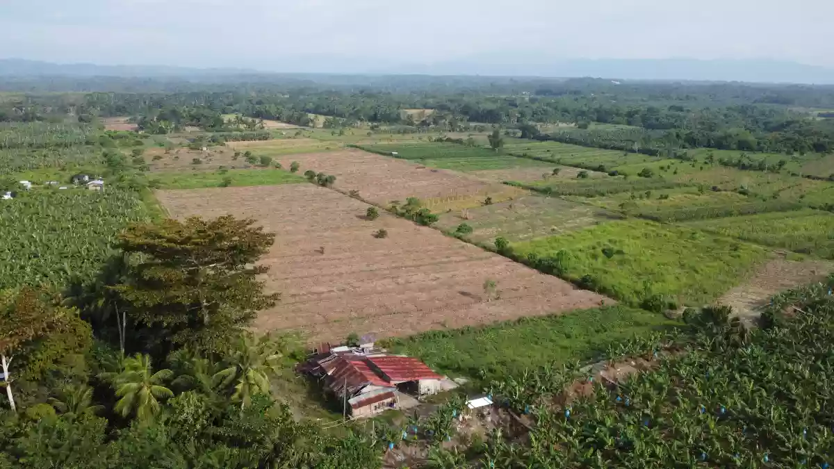 Exceptional Development Opportunity: 12 Hectares of Prime Agricultural Land in Brgy. Mesaoy, New Corella, Davao Del Norte