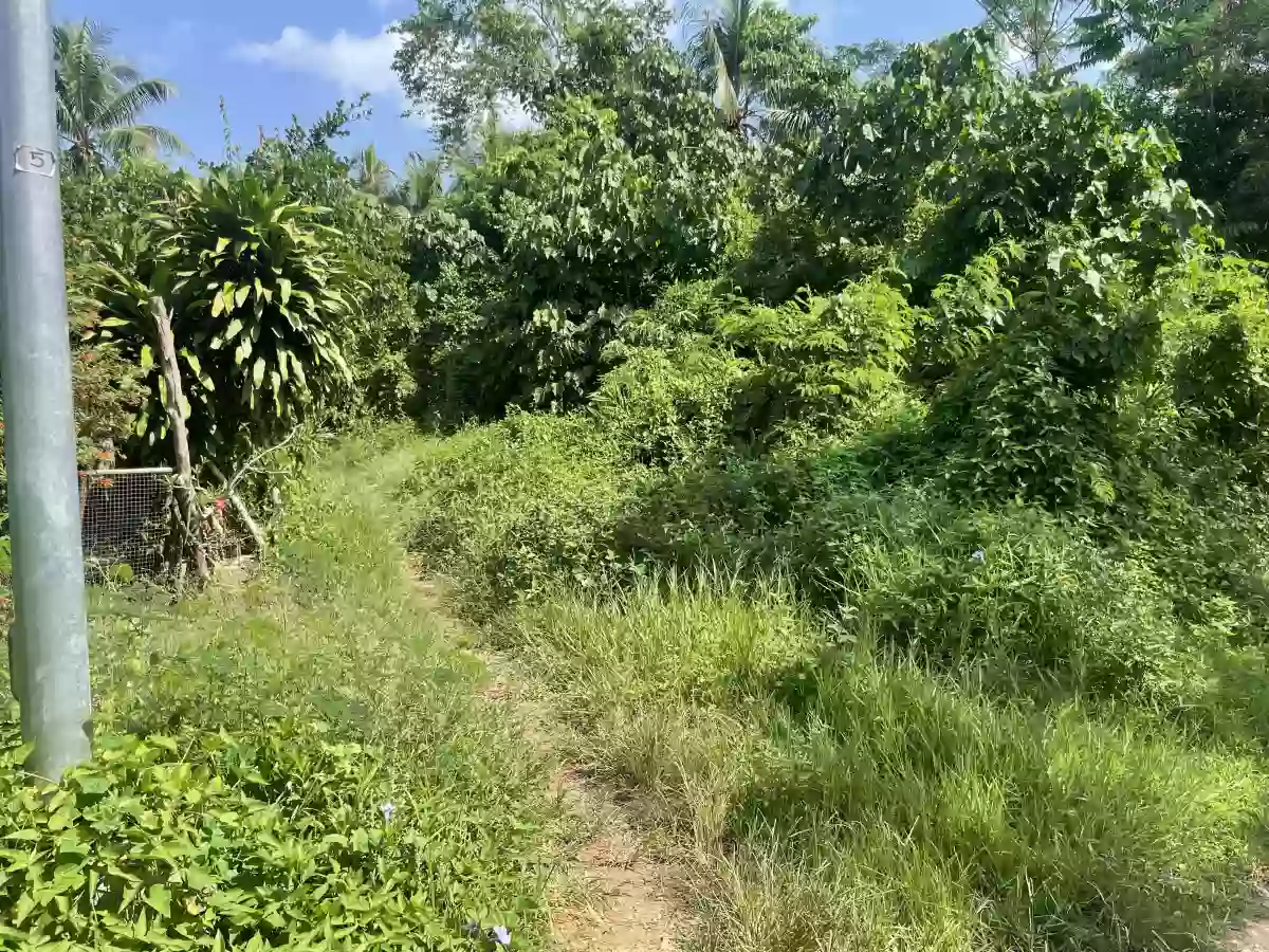 LOT FOR SALE SAMAL ISLAND — Residential Lot in Samal, Davao del Norte, Philippines — Photo 4