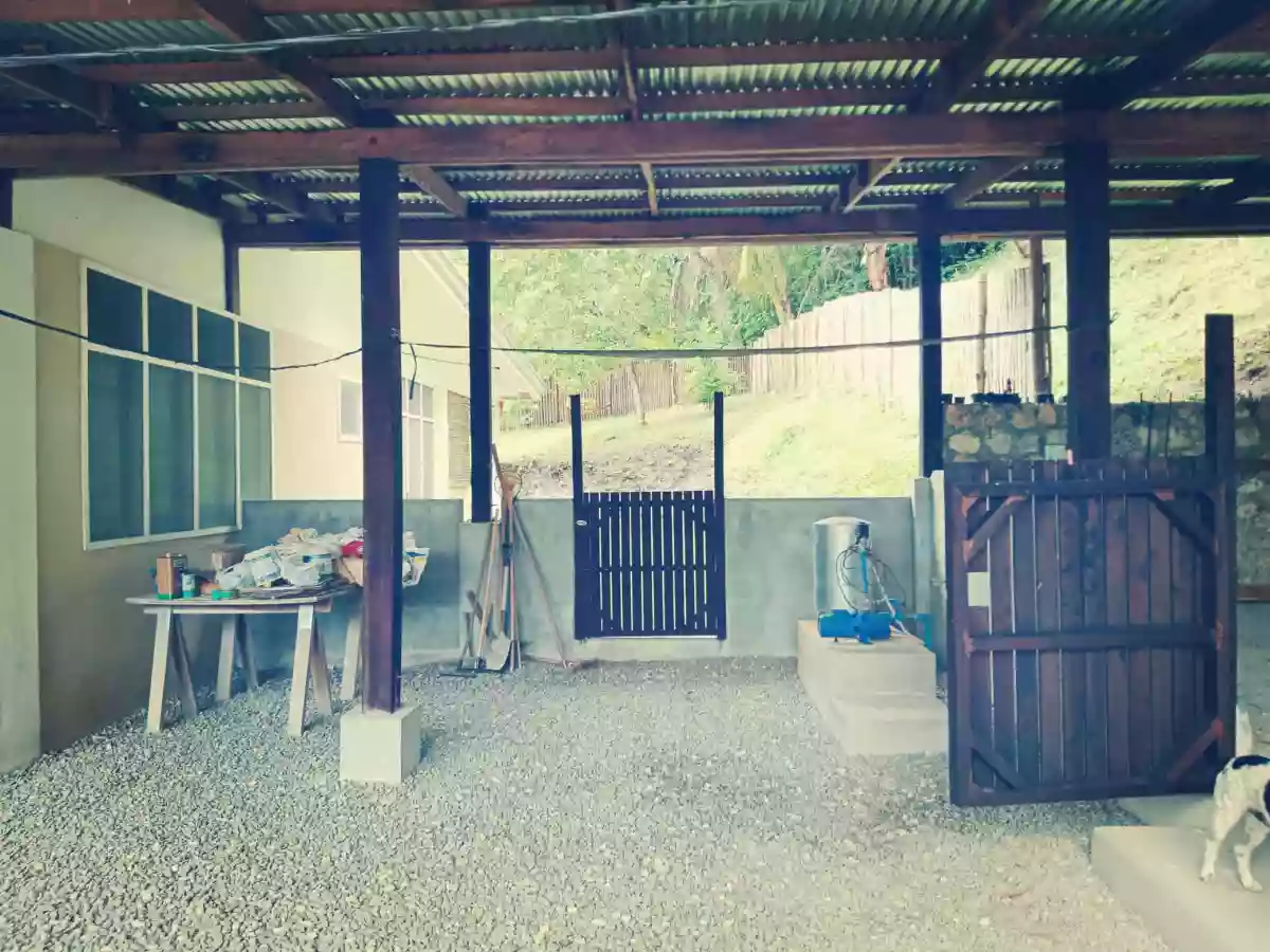 4,934 sqm Prime Lot with Ocean View & Highway Frontage in Badian, Cebu (Near Kawasan Falls) — House and Lot in Badian, Cebu, Philippines — Photo 7