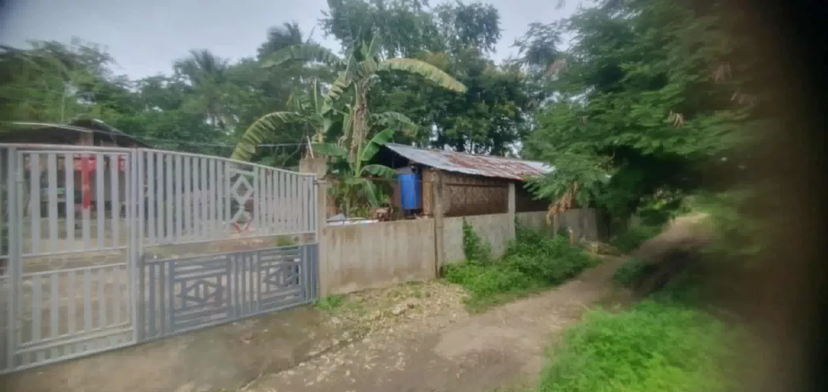 Lot for Sale in Tuburan, Cebu