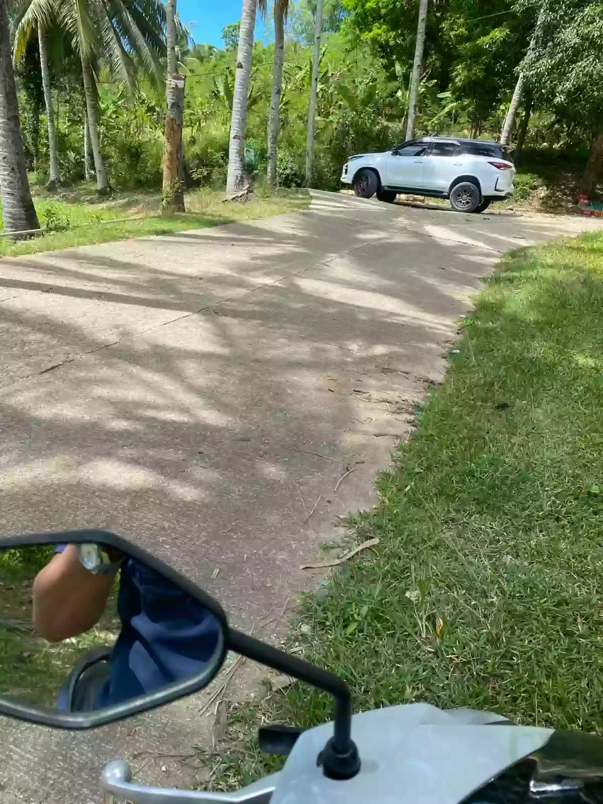FARM LOT FOR SALE AT DANAO CITY CEBU