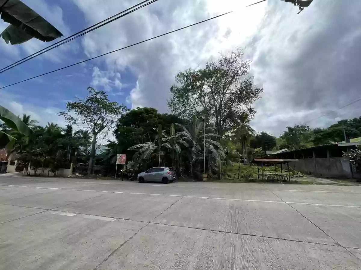 Lot for Sale along the National Highway in Tabuelan — Agricultural Lot in Cebu, Philippines — Photo 5
