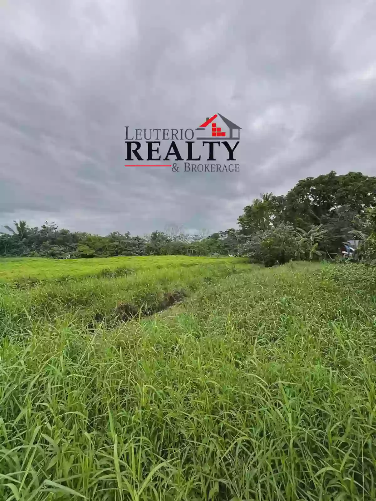 Lot For Sale in Pili CamSur! — Agricultural Lot in San Jose, Pili, Camarines Sur — Photo 2