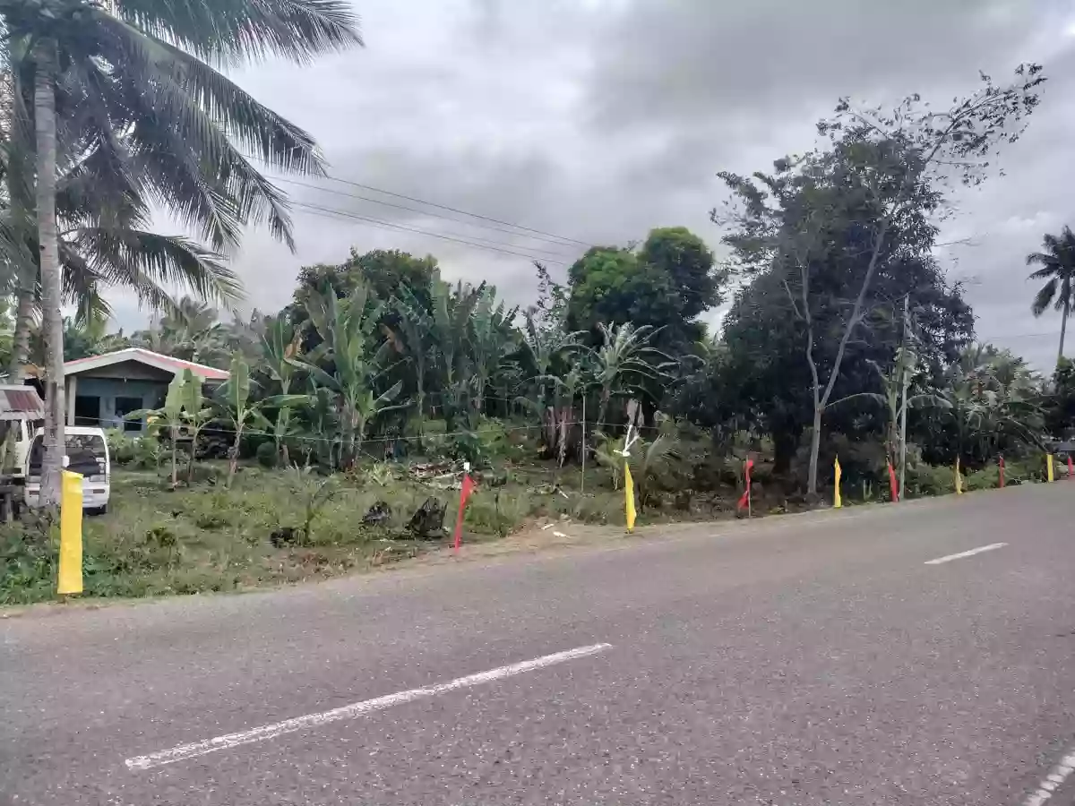 Farm Lot Along the Highway – Pinamungahan — Residential Lot in Cebu, Philippines — Photo 4