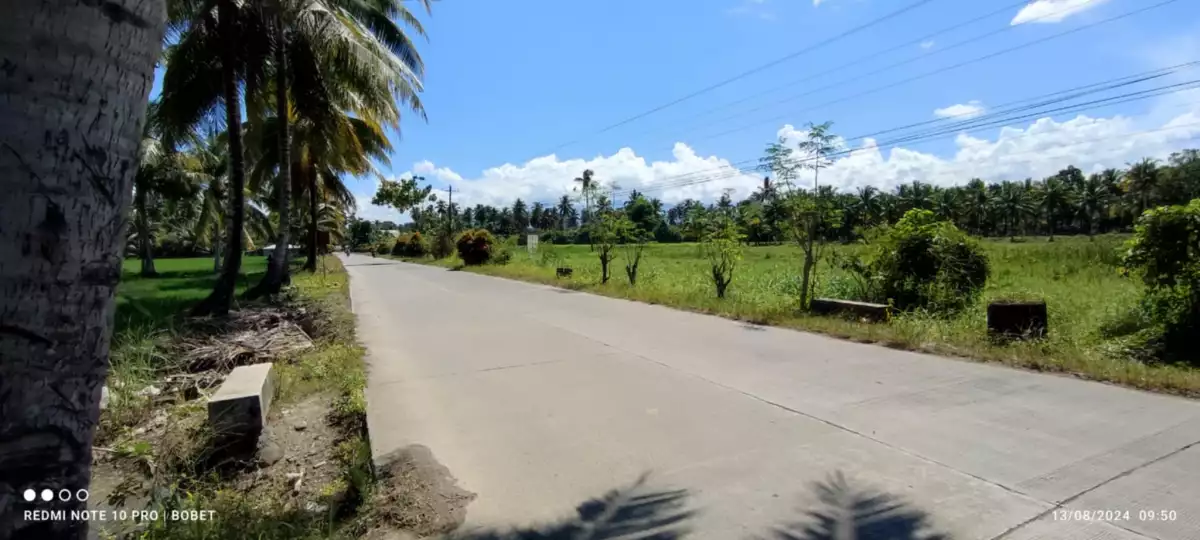 Prime AgriLand — Agricultural Lot in Butuan City, Agusan Del Norte, Philippines — Photo 5