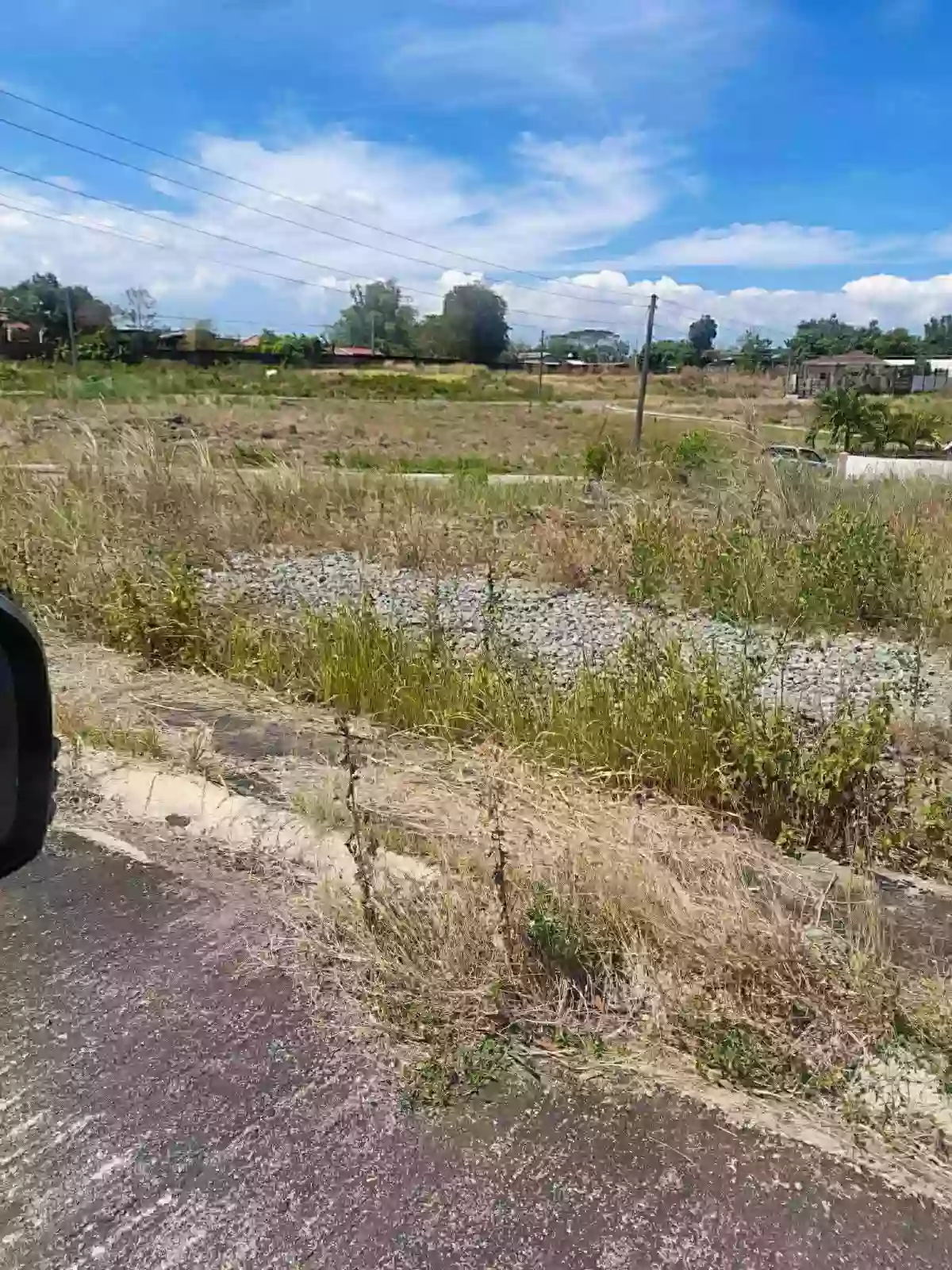 RESIDENTIAL LOT FOR SALE-ALAMINOS PANGASINAN — Residential Lot in Alaminos City, Pangasinan, Philippines — Photo 2