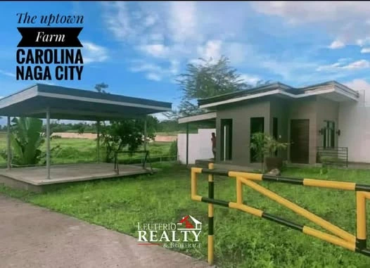 0862025001789 — Agricultural Lot in Naga City, Camarines Sur, Philippines — Photo 2
