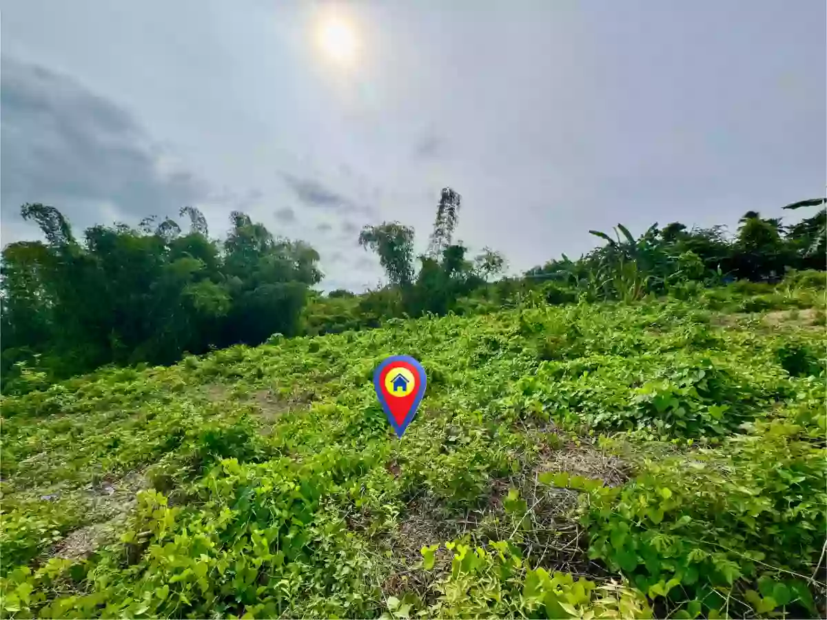 Overlooking Lot For Sale at San Jose, Negros Oriental — Residential Lot in Negros Oriental, Philippines — Photo 5