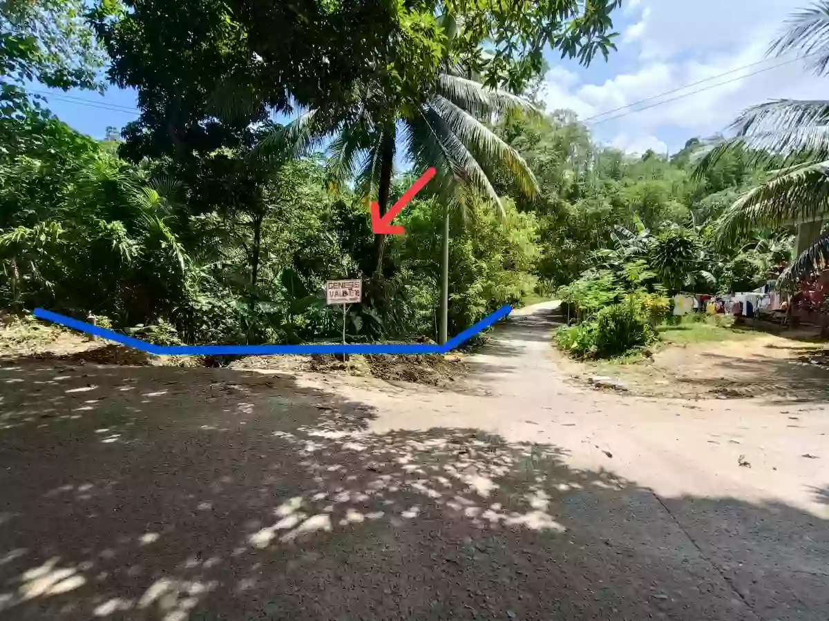 Lot For Sale in Consolacion — Agricultural Lot in Cabangahan Road, Consolacion, Cebu — Photo 4