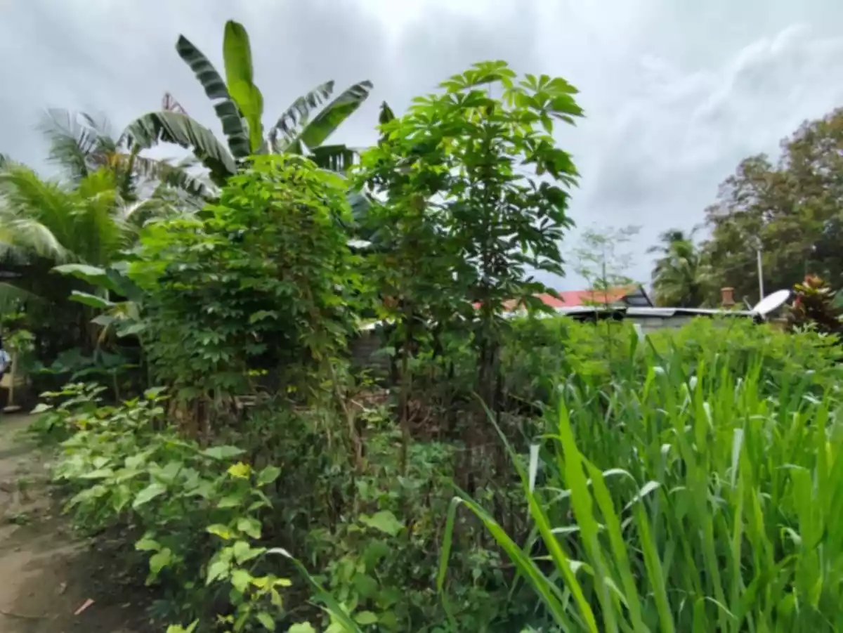SACRIFICE LOT FOR SALE! Residential Lot for SALE near Azumi Phase 2