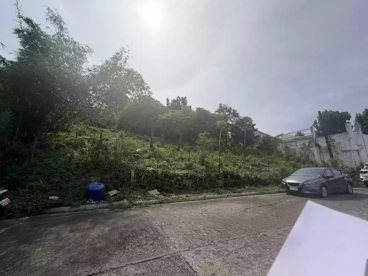 FOR SALE – Prime Lots in Talamban, Cebu City — Residential Lot in Cebu City, Cebu, Philippines — Photo 2