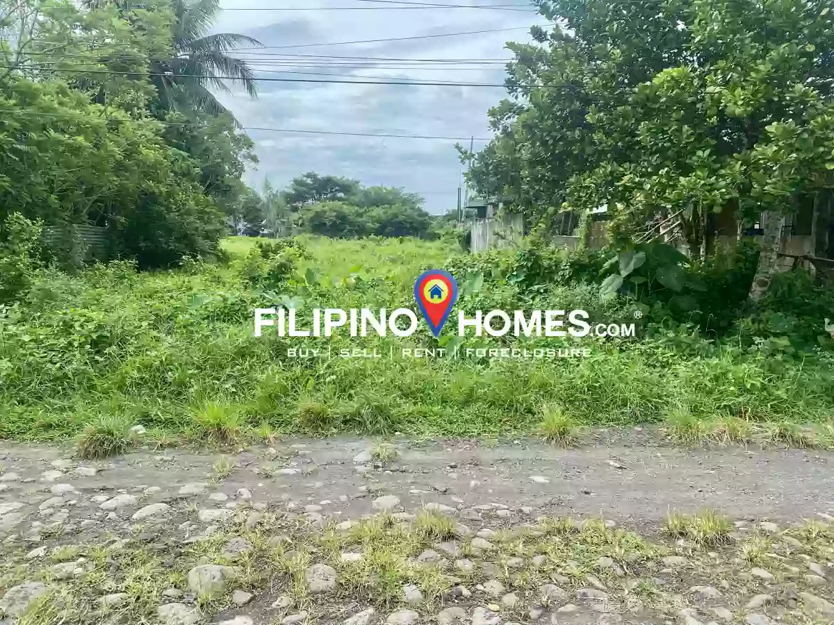 Modern Village Raw Lot — Agricultural Lot in San Jose, Pili, Camarines Sur — Photo 2
