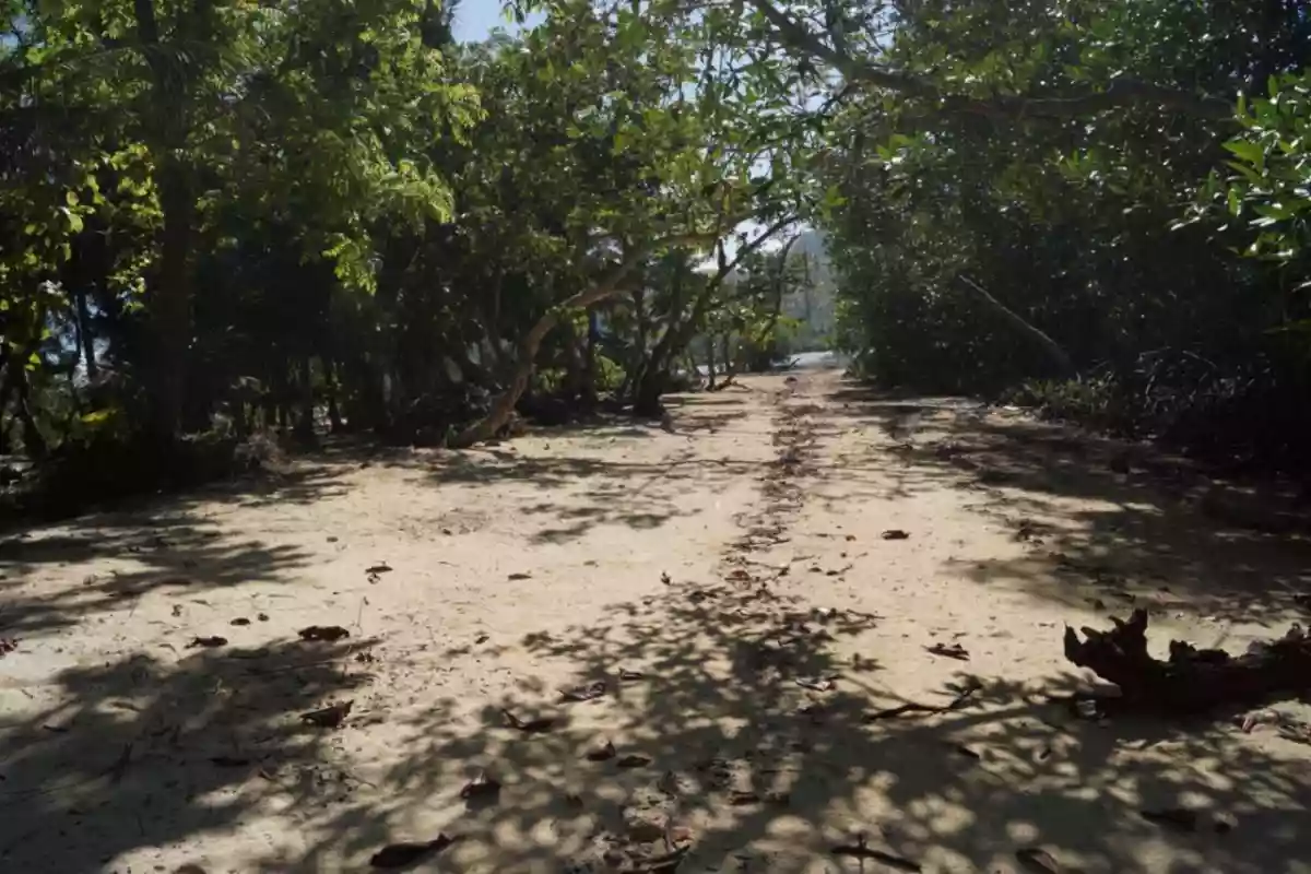 White beachfront in Palawan — Beach Lot in Palawan, Pilipinas — Photo 6