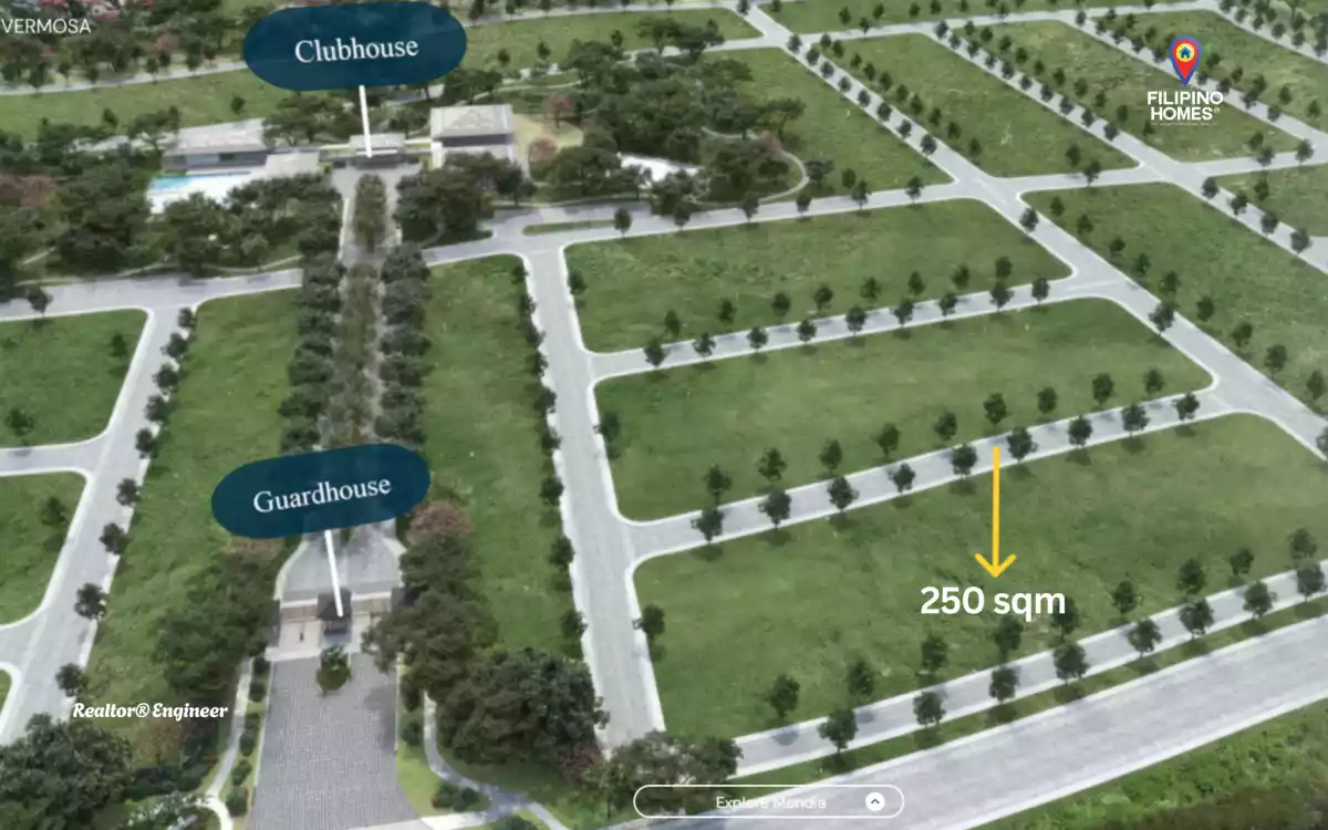 Investment Timing Potential in Caleia