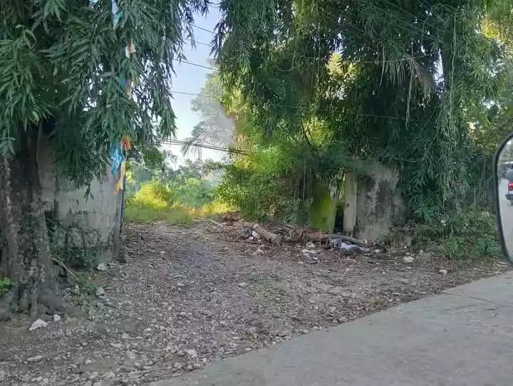 Lot for Sale at Guinsay. Danao City — Agricultural Lot in Unnamed Road, Danao City, Cebu — Photo 2