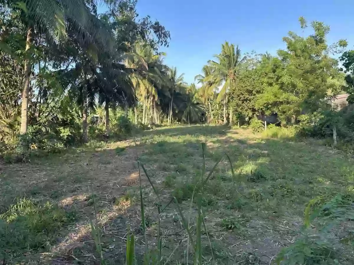 San Isidro Lot for Sale — Agricultural Lot in General Santos City, South Cotabato, Philippines — Photo 2