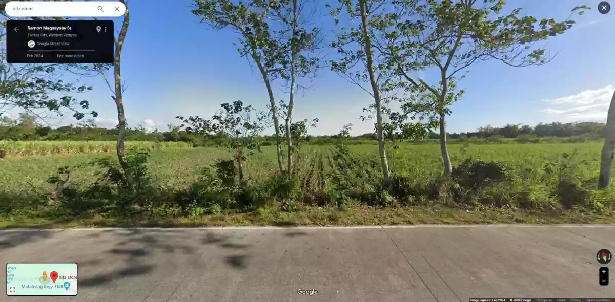 Agricultural LOT for sale at MATAB-ANG TALISAY! — Agricultural Lot in Talisay City, Negros Occidental, Philippines — Photo 3