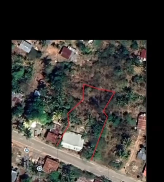 For Sale: Commercial/Residential Lot in Catarman Dauis, Bohol along the National Road — Residential Lot in Dauis, Bohol, Philippines — Photo 6