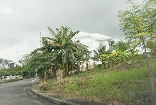 For Sale Corner lot at Royale Cebu Estate, Consolacion, Cebu. — Residential Lot in Cebu, Philippines — Photo 5