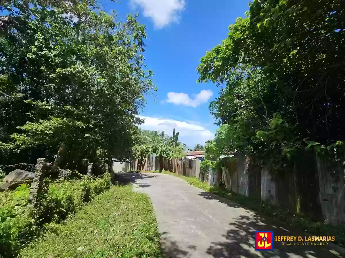 Rush Sale! 506sqm Lot in Mampas, Valencia! [available] — Residential Lot in Valencia, Negros Oriental, Philippines — Photo 2