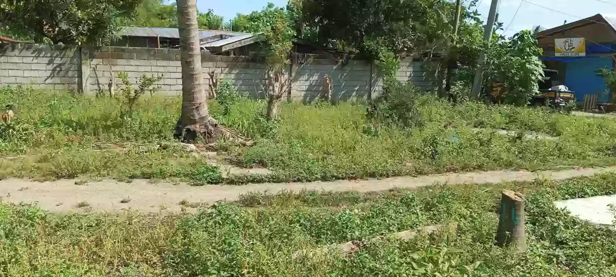 Lot for sale — Commercial Lot in Alabel, Sarangani, Philippines — Photo 5