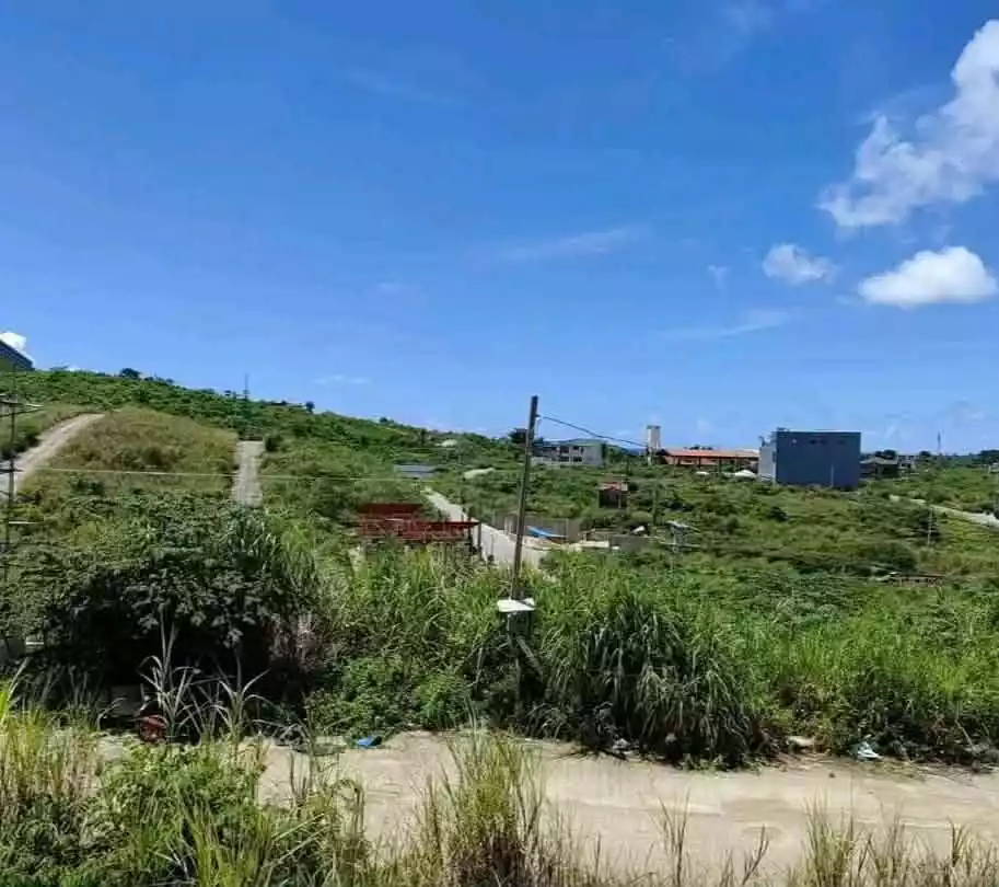 Residential Lot at El Monte Grande