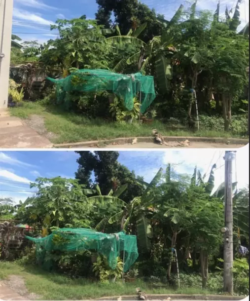 Lot for Sale 101 Sqm Global  Raphael Homes Subdivision, Biasong, Talisay, Cebu — Residential Lot in Central Biasong, Talisay, Cebu — Photo 3