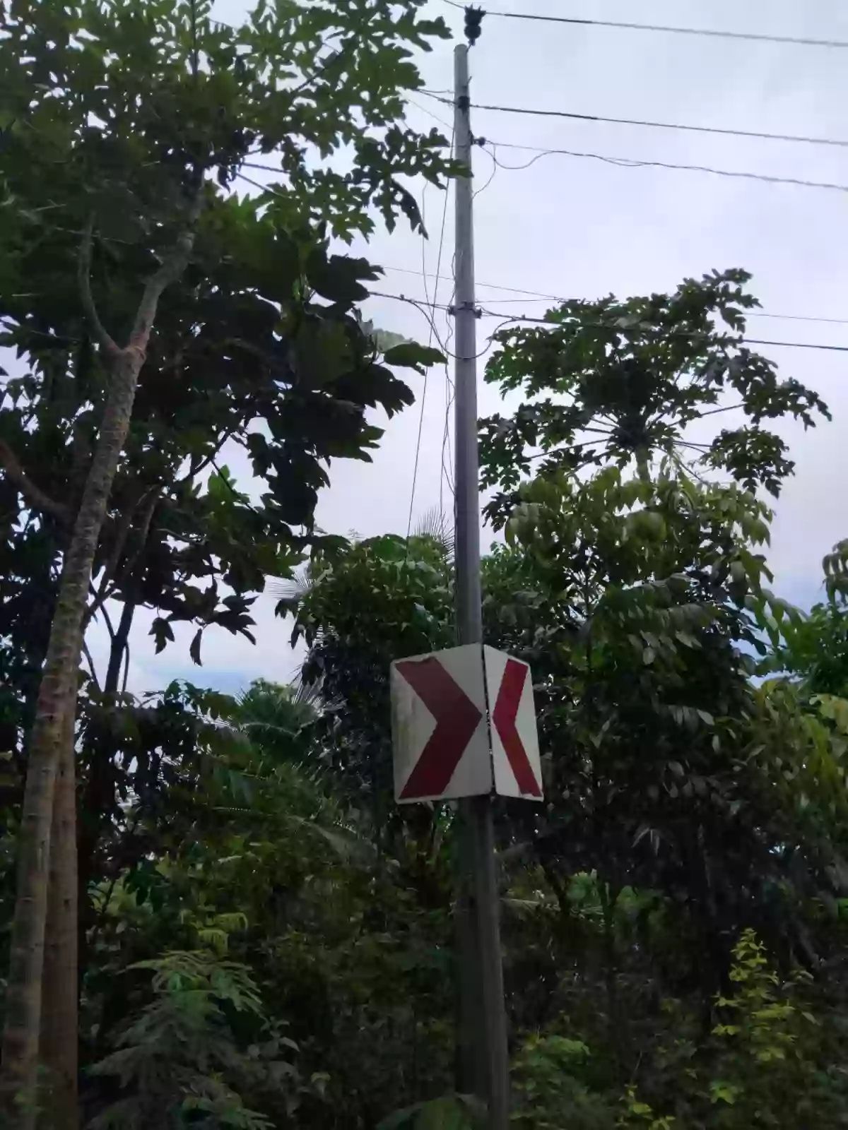 Beach Front Property For Sale (Sipalay) — Beach Lot in Sipalay City, Negros Occidental, Philippines — Photo 2