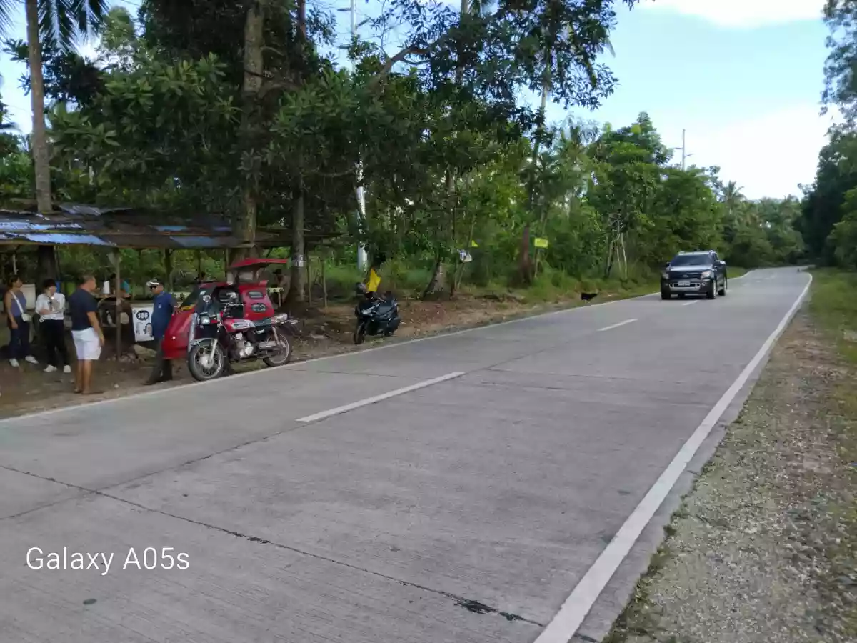 Land for Sale(100%FlatLand) — Residential Lot in Guimaras, Philippines — Photo 4