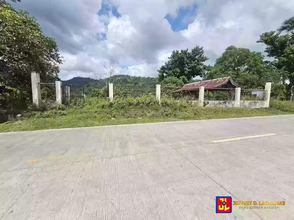 Rush Sale! Amazing Overlooking Lot in Palinpinon, Valencia [available]