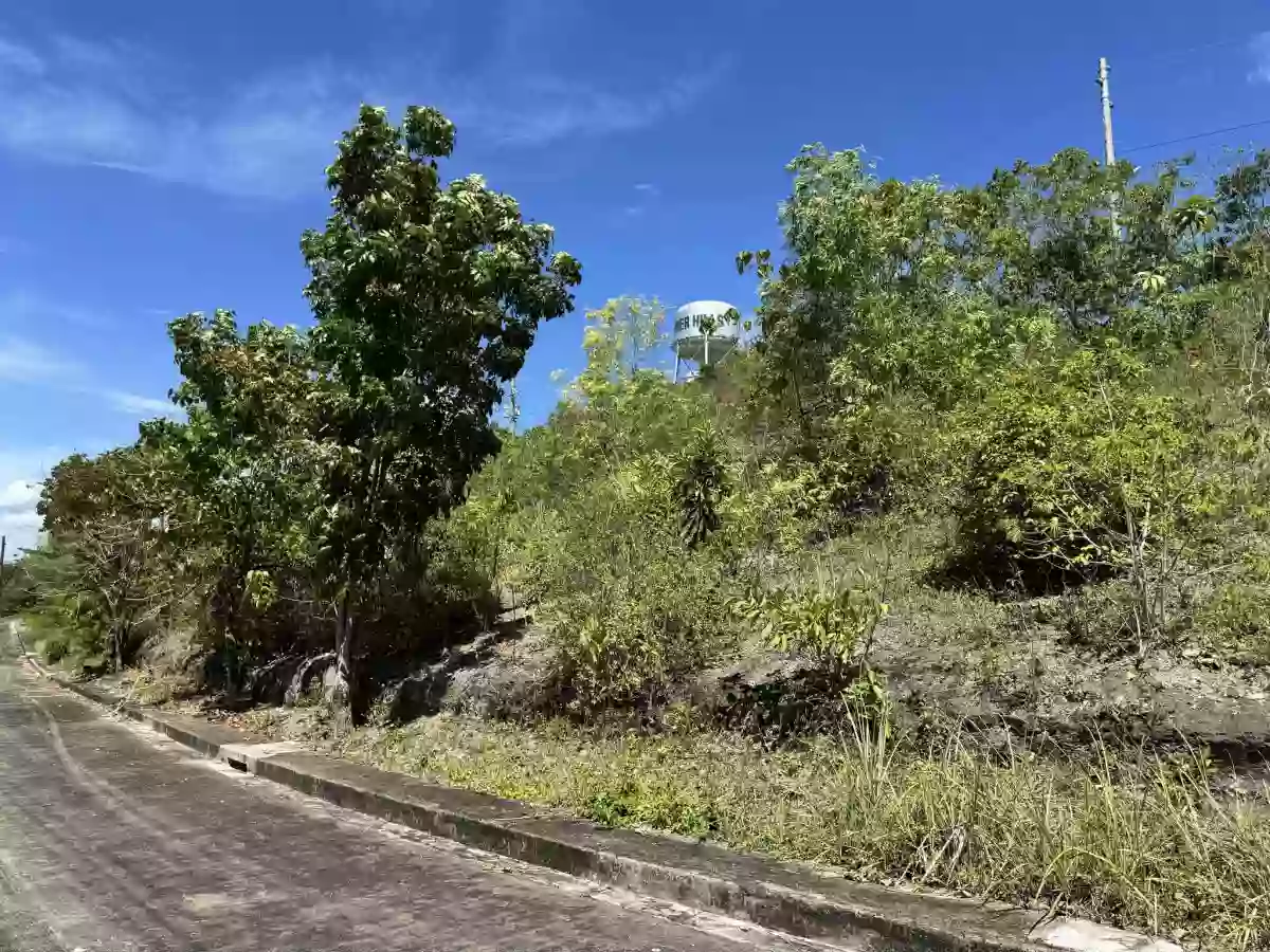 LOT FOR SALE IN SUMMERHILS, COMPOSTELA — Residential Lot in Compostela, Cebu, Philippines — Photo 2