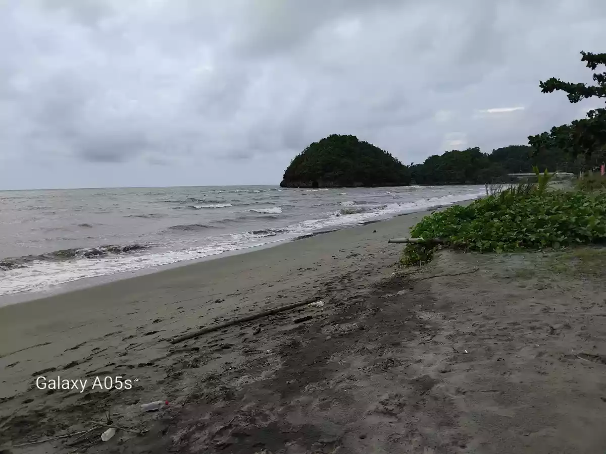 Beach Resort For Sale (Sipalay) — Beach Lot in Sipalay City, Negros Occidental, Philippines — Photo 5