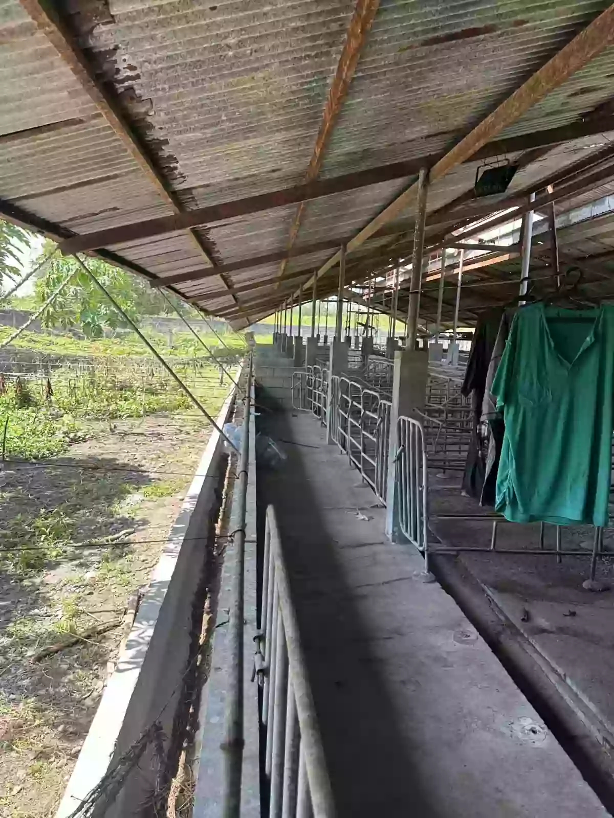 Open photo 11 of 20 — Piggery/Farm Lot For Sale in Odagre General Santos City Socksargen