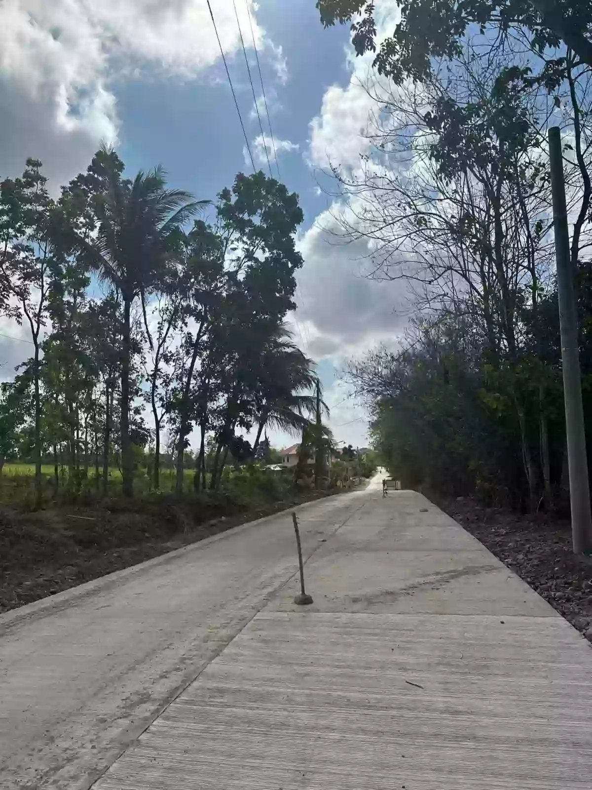 3 Hectares Agricultural Land For Sale — Agricultural Lot in Janiuay, Iloilo, Philippines — Photo 2