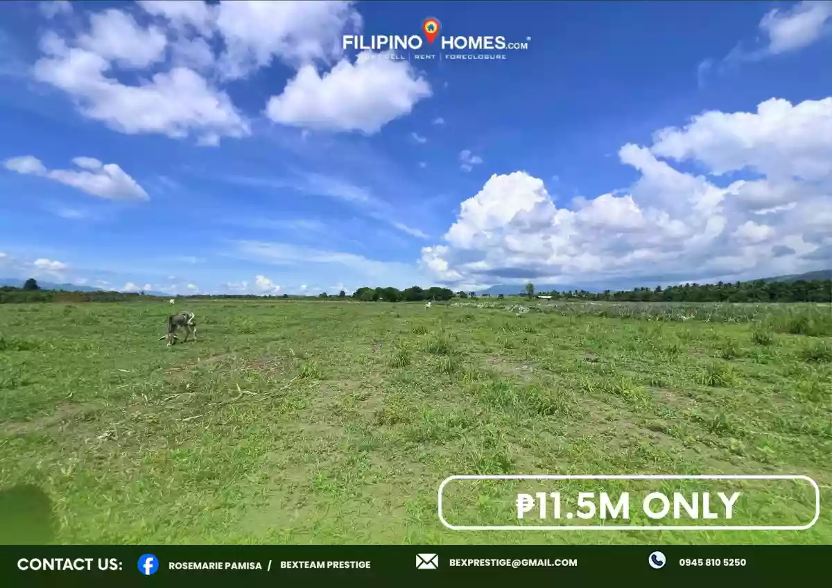 2 Hectare Farm Lot for Sale!