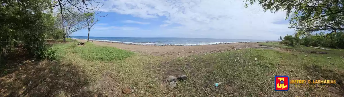 Rush Sale 40,419sqm Beach Lot in Bulak, Dauin [available]