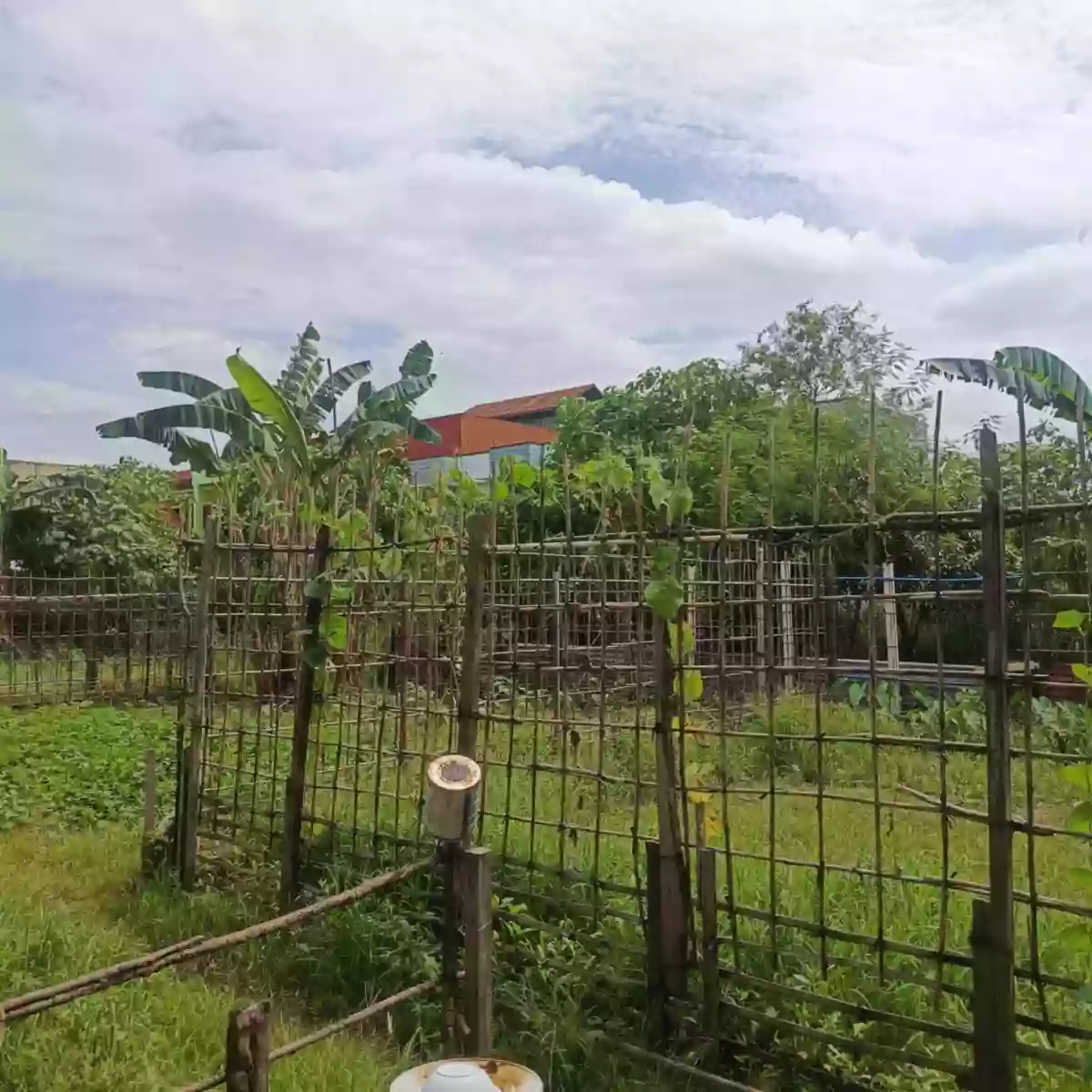 Urdaneta Lot For Sale! Near PSU Urdaneta — Residential Lot in Brgy. San Vicente Road, Urdaneta City, Pangasinan — Photo 4