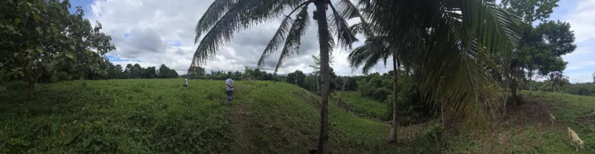ORMOC FARM LOT FOR SALE — Agricultural Lot in Ormoc City, Leyte, Philippines — Photo 4