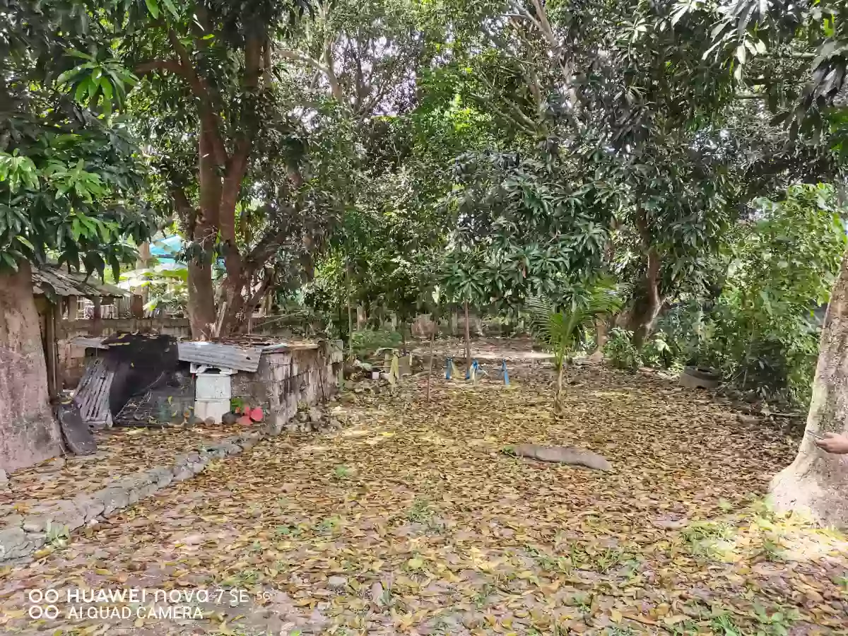 Premium Lot: Brgy. Bantayan, Dumaguete — Residential Lot in Dumaguete City, Negros Oriental, Central Visayas — Photo 5