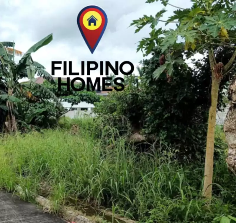 RESIDENTIAL LOT FOR SALE — Residential Lot in Naga City, Camarines Sur, Philippines — Photo 2