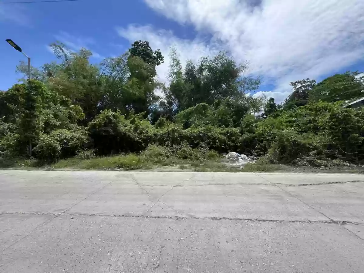 Industrial Lot for Sale in Canamucan Compostela [Tax Dec] — Industrial Lot in Compostela, Cebu, Philippines — Photo 3