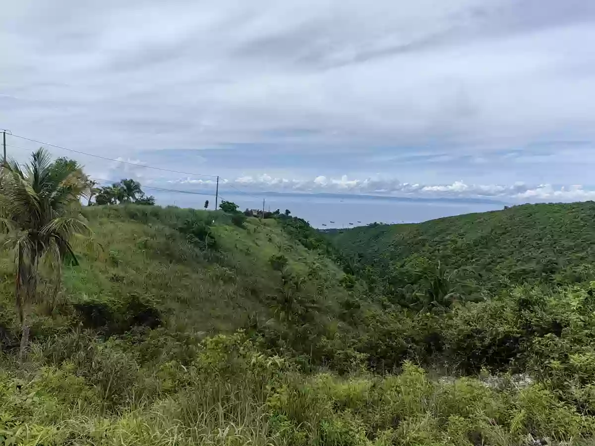 Agri LOT FOR SALE 11,640 IN SAN FERNANDO, CEBU — Agricultural Lot in San Fernando, Cebu, Philippines — Photo 2