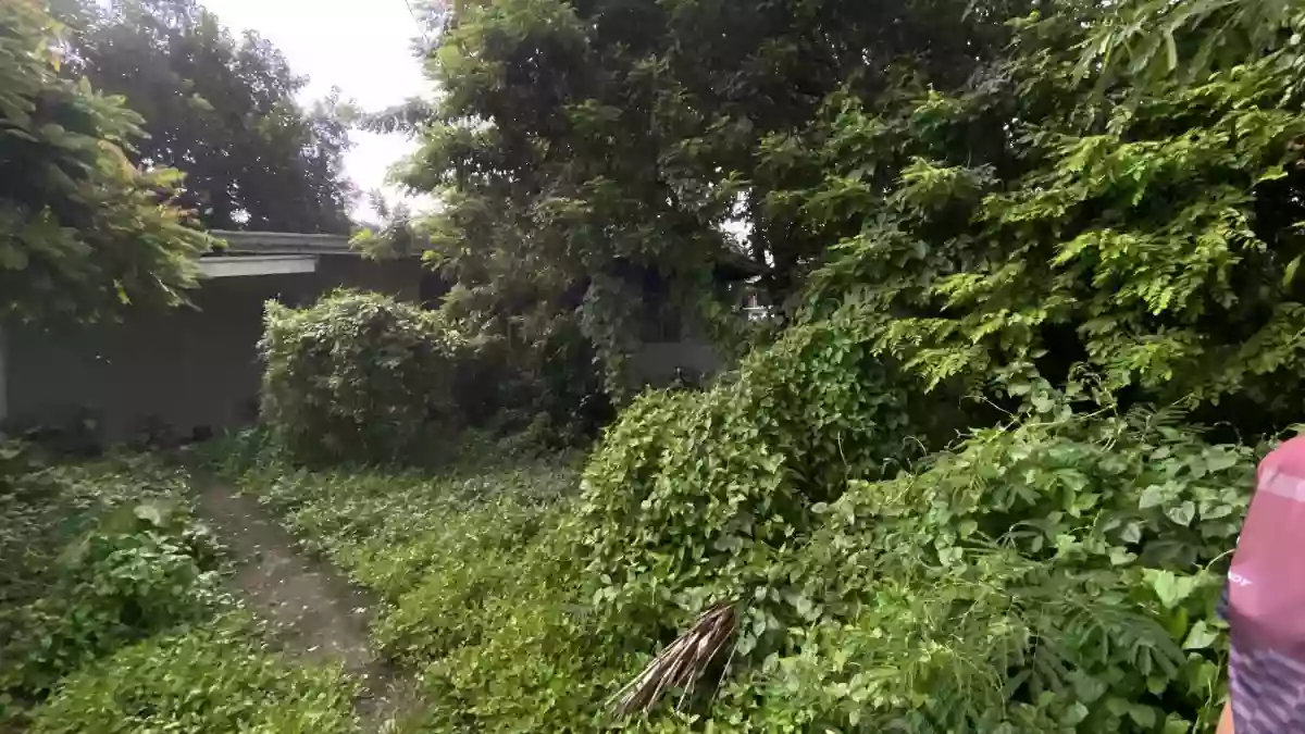 RESIDENTIAL LOT FOR SALE IN JARO ILOILO CITY — Residential Lot in Jaro, Iloilo City, Iloilo — Photo 3