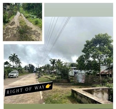 Lush greenery and peaceful environment residential /farm lot at Brgy Cabog, Clarin, Bohol — Residential Lot in Bohol, Philippines — Photo 4