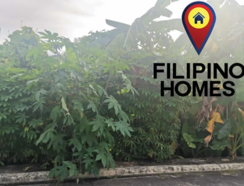 RESIDENTIAL LOT FOR SALE — Residential Lot in Naga City, Camarines Sur, Philippines — Photo 2