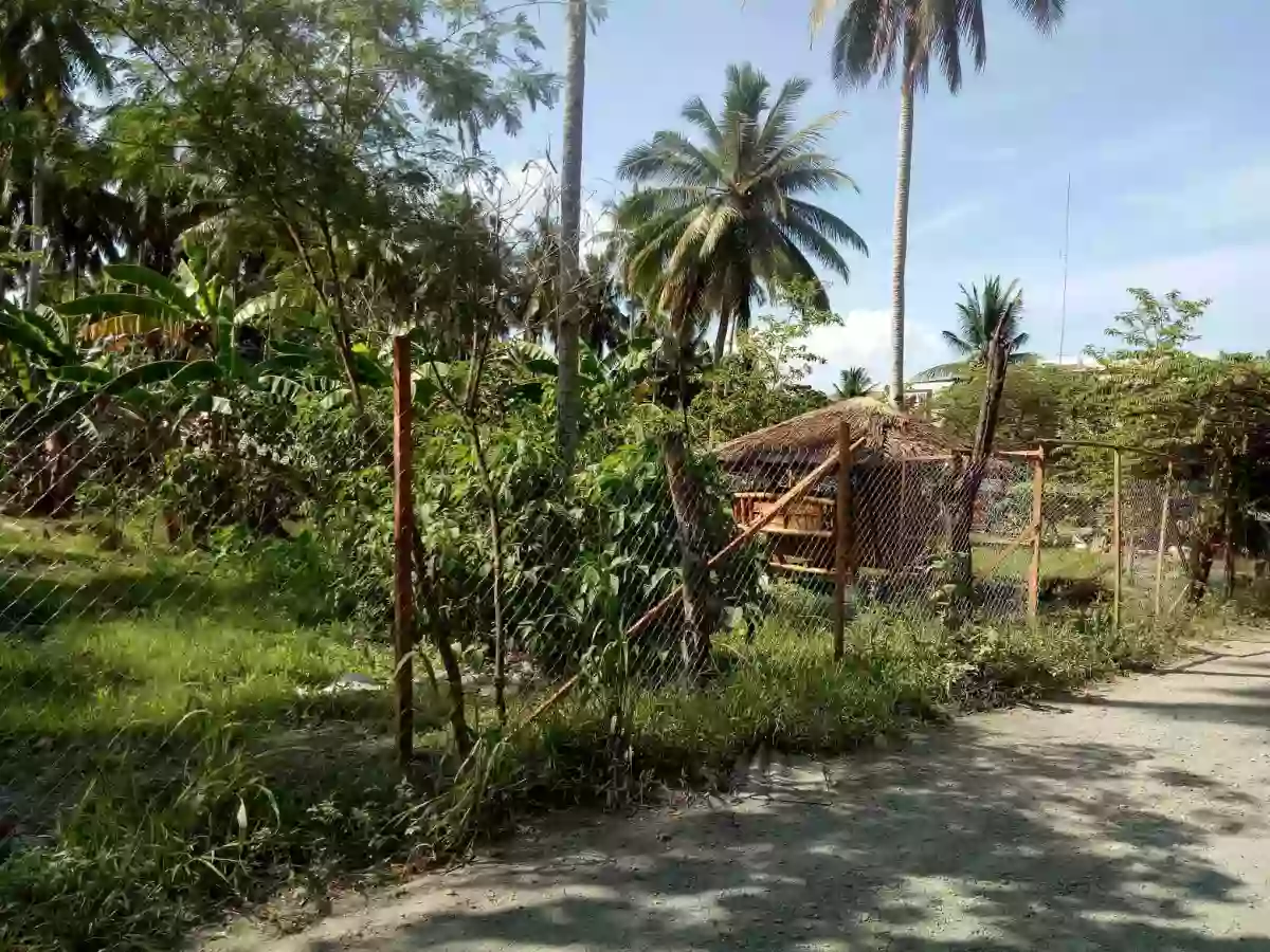 7M LOT FOR SALE IN TAGUM — Residential Lot in Bansalan, Davao del Sur, Davao — Photo 5