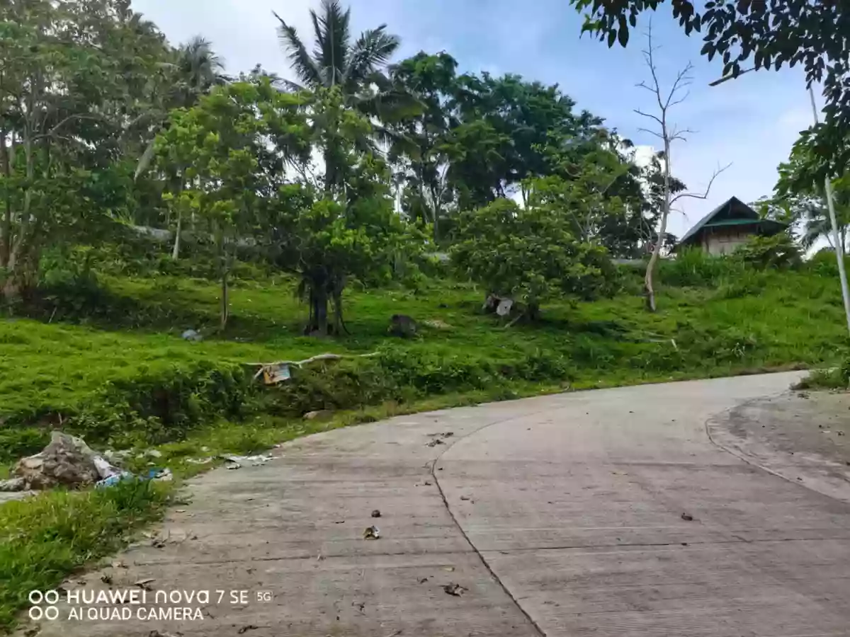 Lot for Sale in Sagbang, Valencia! — Agricultural Lot in Valencia, Negros Oriental, Philippines — Photo 2