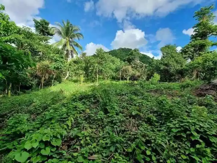 FUTURE SANCTUARY IN PULANGBATO CEBU CITY