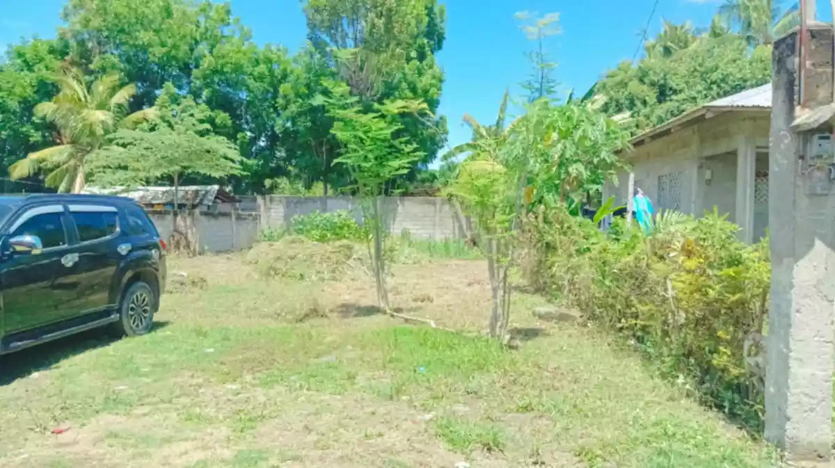 RUSH LOR FOR SALE — Residential Lot in Dumaguete, Negros Oriental, Philippines — Photo 2