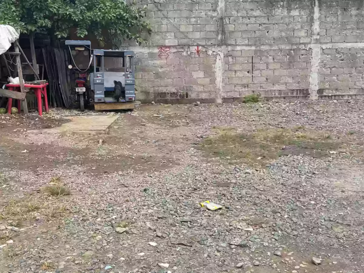 RESIDENTIAL LOT INSIDE A GATED COMPOUND — Residential Lot in Mandaue City, Cebu, Philippines — Photo 3
